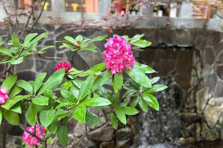 � �������� ������, ����������� ������� ������, ���������� �������