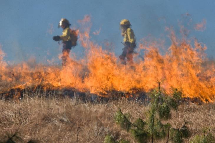 Регионы усилят контроль за лесопожарной обстановкой