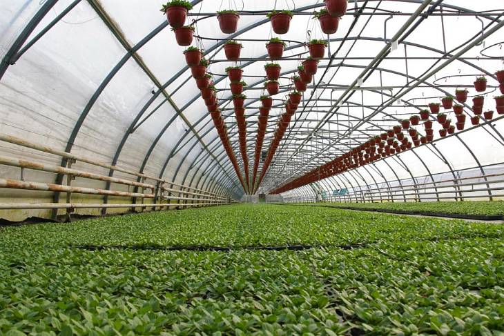 ��������� ����� �� ������� ������� ���������