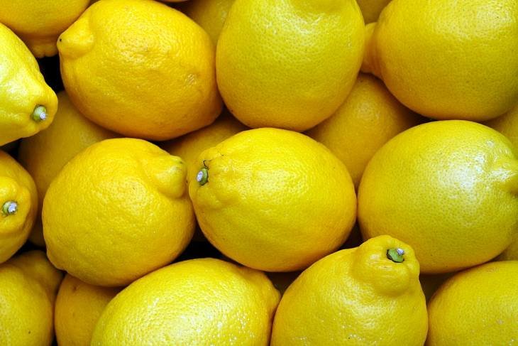 ФАС прогнозирует снижение цен на лимоны