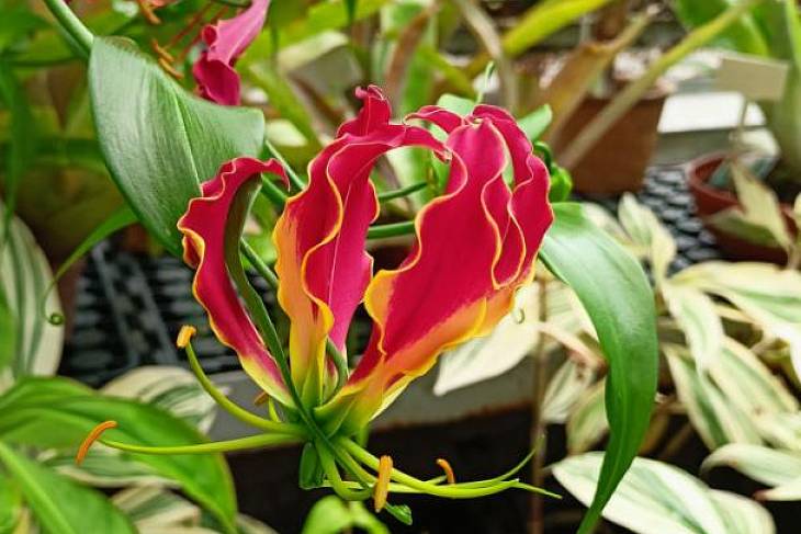 ��������� ������������ ����� ��� �����