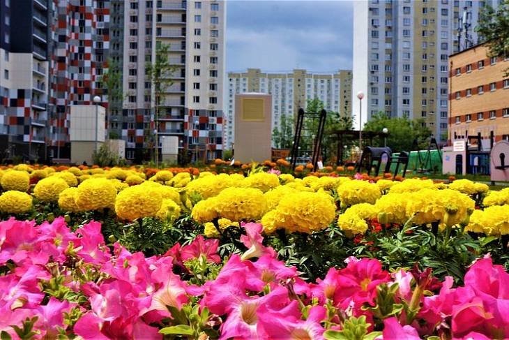 62 субъекта РФ утвердили паспорта проекта «Умный город»