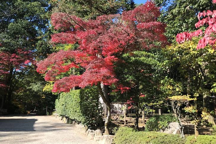 �������� ������������ ������ ������� �������� ������� � ������������ �����