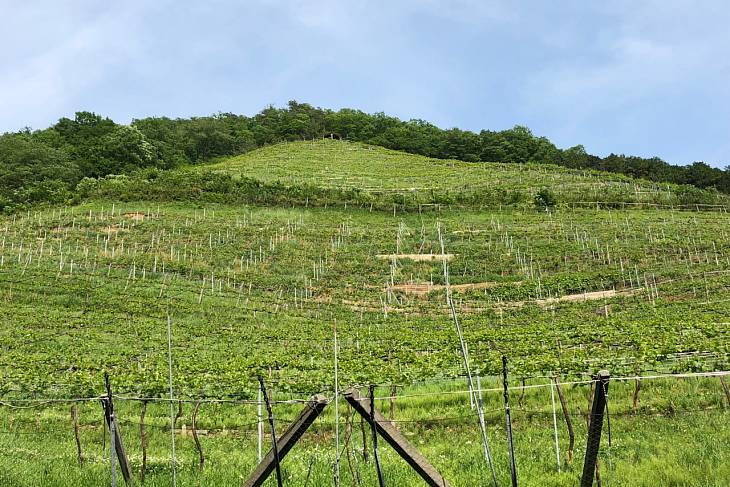 ������� ������: ������������ � �������� ���������� ����