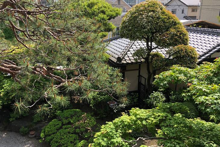 ������� ���� ���� ������ ���������� ����� ��������