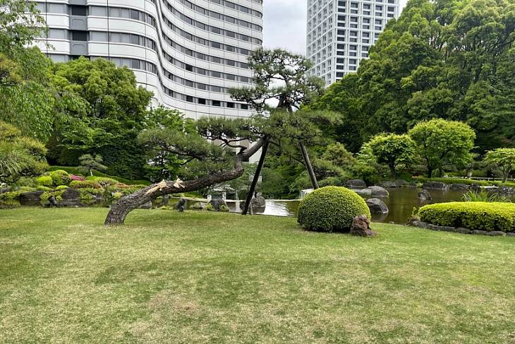 � ������ �������� ��������