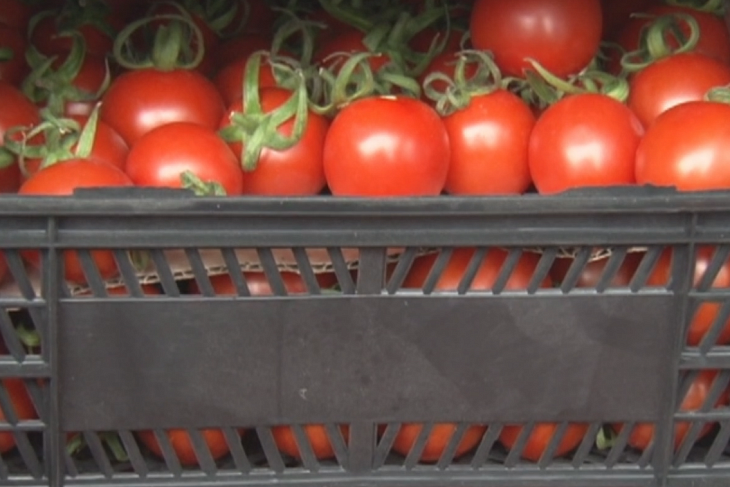 В Россию хотели ввезти томаты и груши под видом спрея и полимера