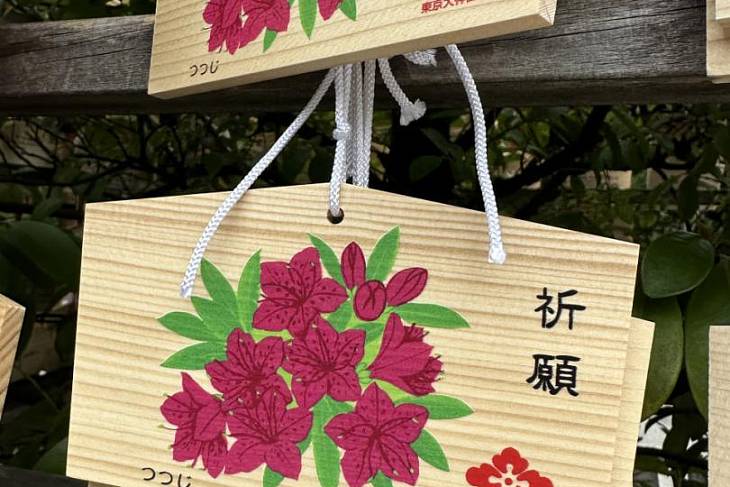 � ����������� ����� ������ ������� ��������� ������