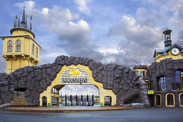 В Московском зоопарке откроют первый в мире памятник Курочке Рябе