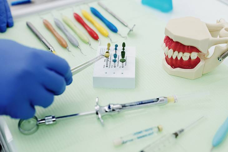 Российские стоматологи изучают технологию выращивания зубов
