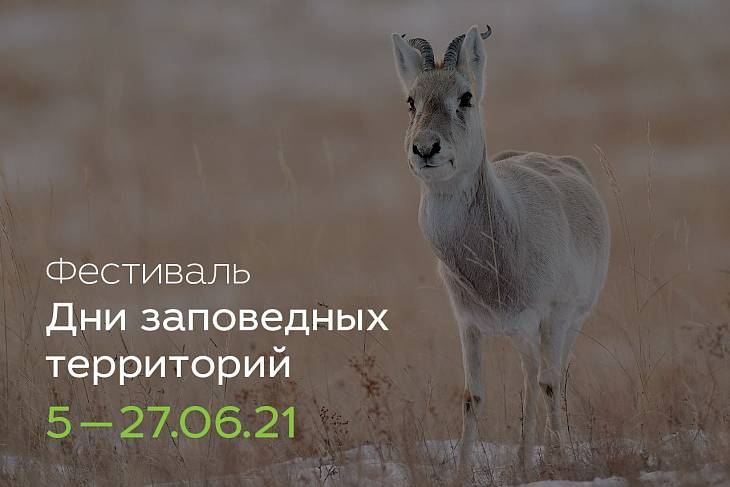 В России стартует фестиваль «Дни заповедных территорий»