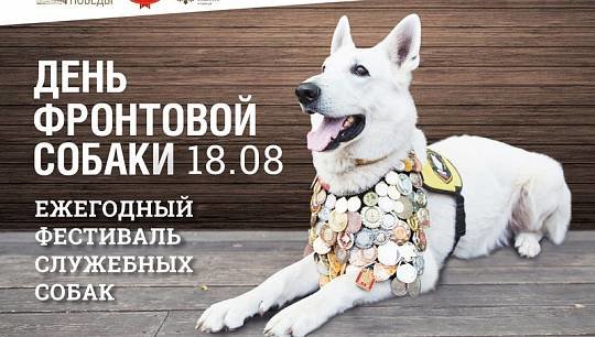 18 августа на открытой площадке Музея Победы пройдет День фронтовой собаки
