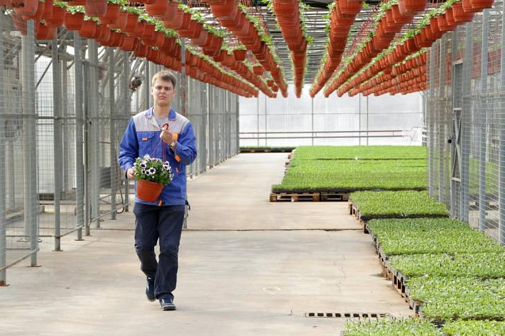 � ������ ����������� ����� ������������������ �����������