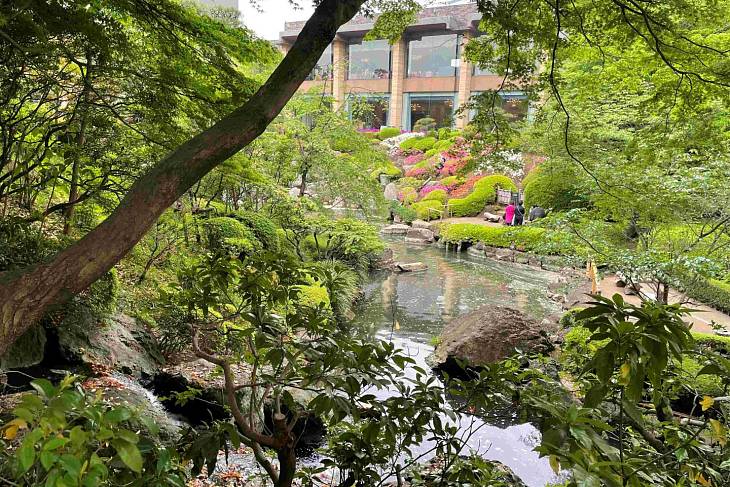 ������� ������� ��� ����������� ������ ���� � ����