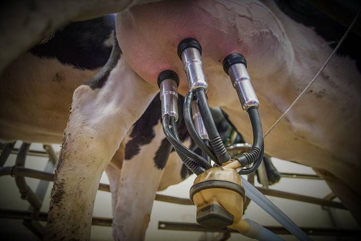 ����� ������ ���������� �����