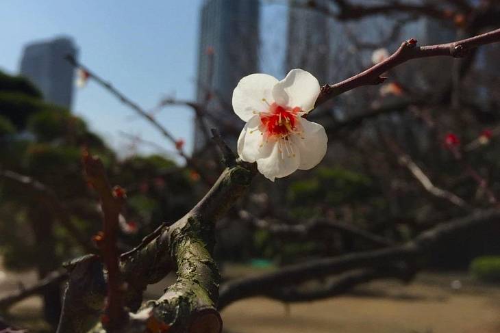 �������� ����� ������� � �������� ����� � ������ ���������