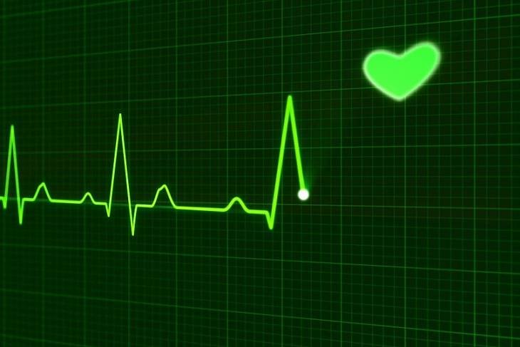 Московские ученые разработали детское искусственное сердце