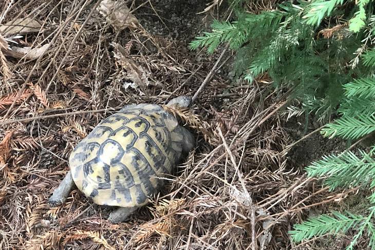 ������ �������� � ����� ���������� ������� ������� � ���������