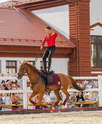 Москвичей приглашают на фестиваль конного спорта