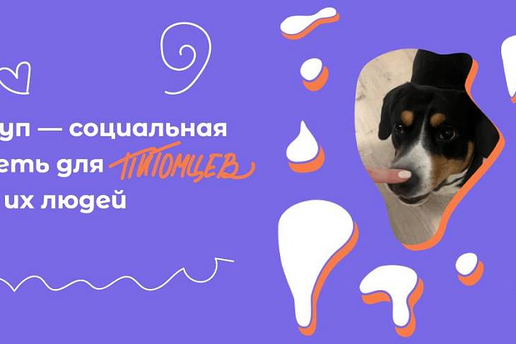 Запущена первая в России социальная сеть для питомцев и их людей Запущена первая в России социальная сеть для питомцев и их людей