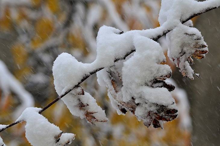 В Московской области до конца недели резко похолодает