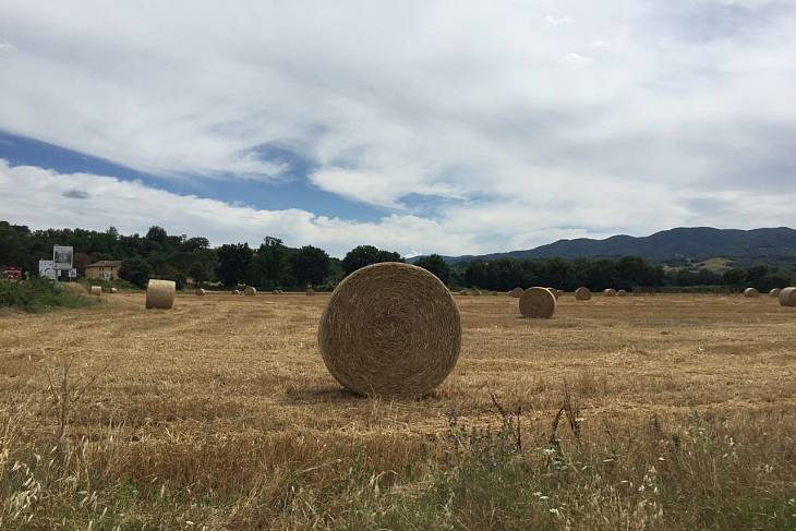 ��������� ��� �����: ����������� ������� � ������