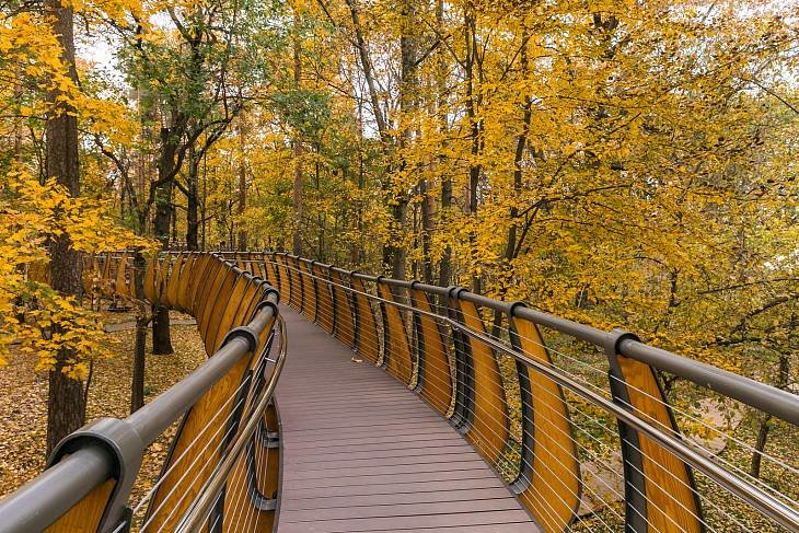 Москвичи оценили экотропу в Ландшафтном парке ВДНХ