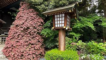 �������� ��� ���� �������� �������������