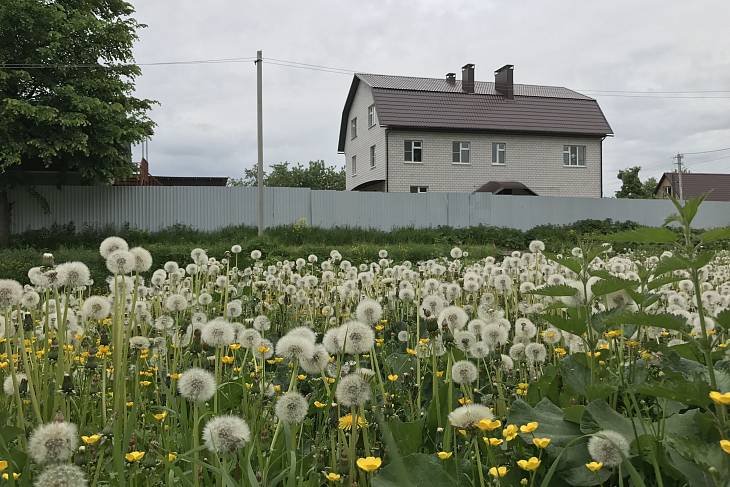 На сельскую ипотеку в 2023 году направят почти 20 млрд рублей