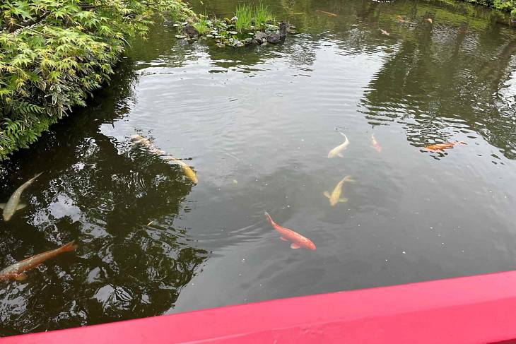 ����� ���� ��������� � �������� ���� � ������