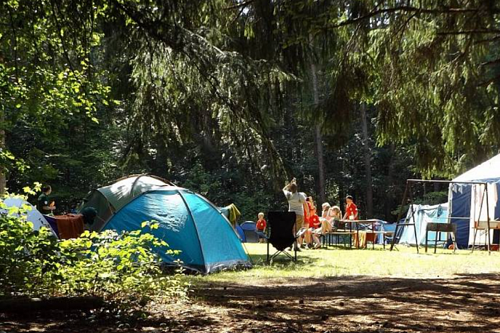 Бесплатную путевку в летний лагерь можно получить онлайн